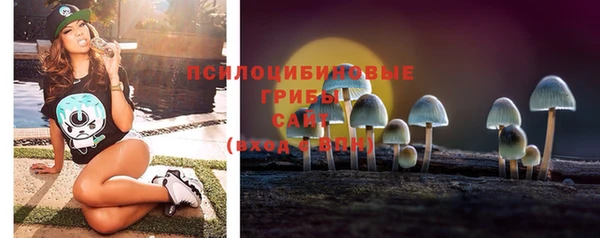 спайс Алзамай