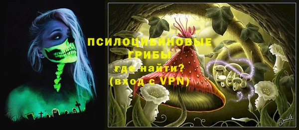 ALPHA-PVP Алексин