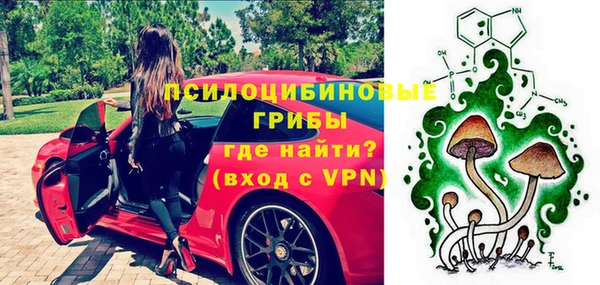 спайс Алзамай